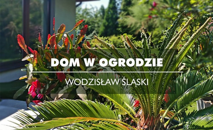 dom na sprzedaż - Wodzisław Śląski