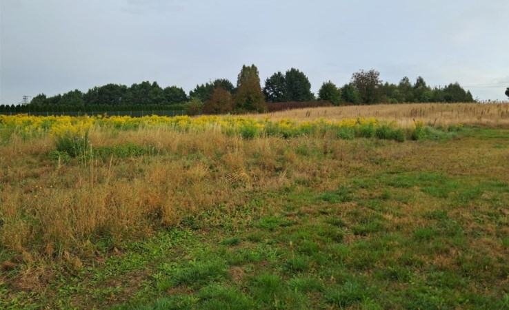 działka na sprzedaż - Wodzisław Śląski, Turzyczka